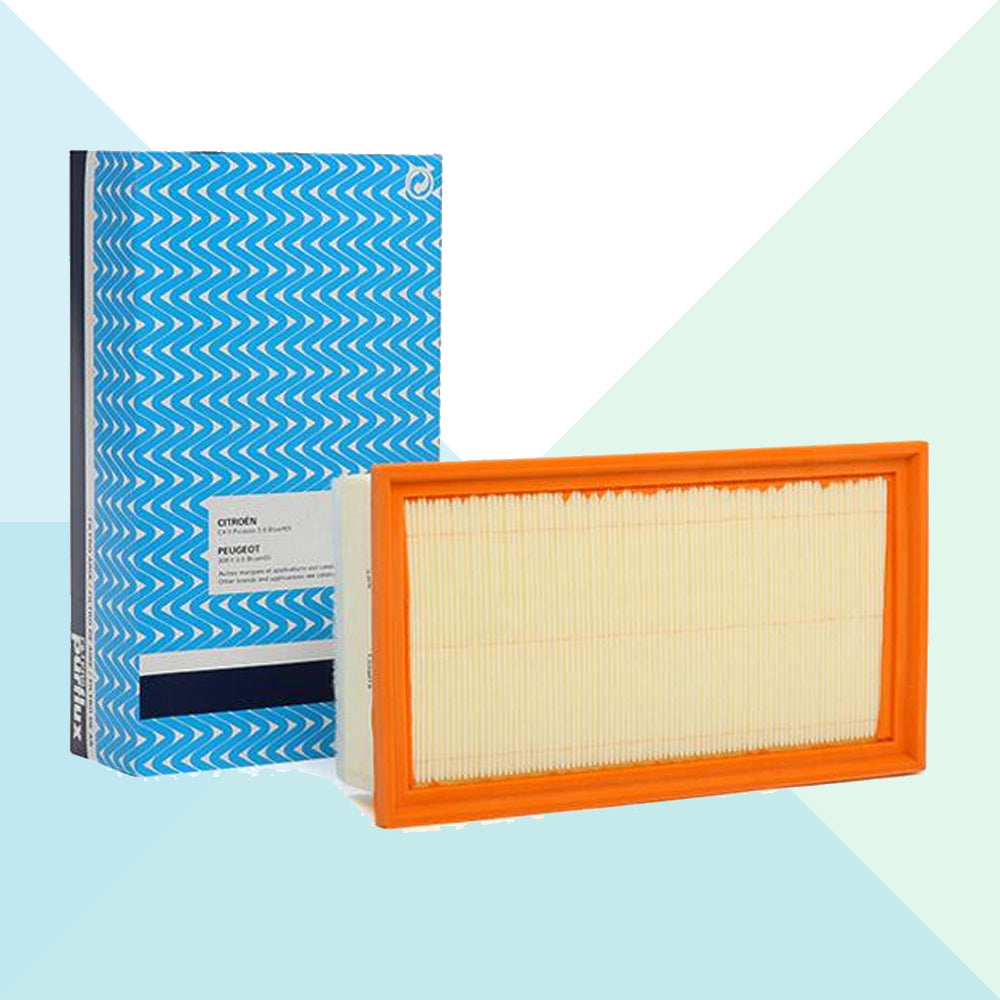 Purflux Filtro Aria Cartuccia Filtro per Citroen DS Fiat Peugeot Toyota A1725 (8757015019857)