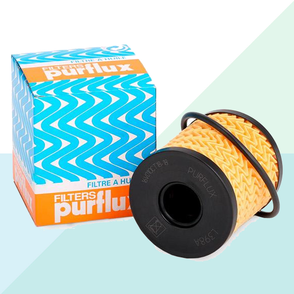 Purflux Filtro Olio Cartuccia Filtro per Citroen Fiat Peugeot Lancia Motori Benzina L398A (8650255827281)