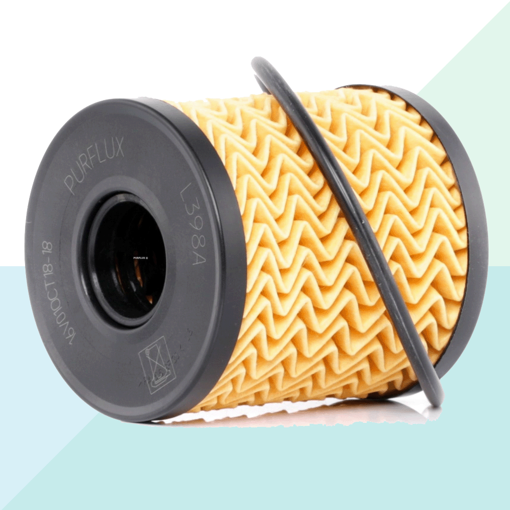 Purflux Filtro Olio Cartuccia Filtro per Citroen Fiat Peugeot Lancia Motori Benzina L398A (8650255827281)