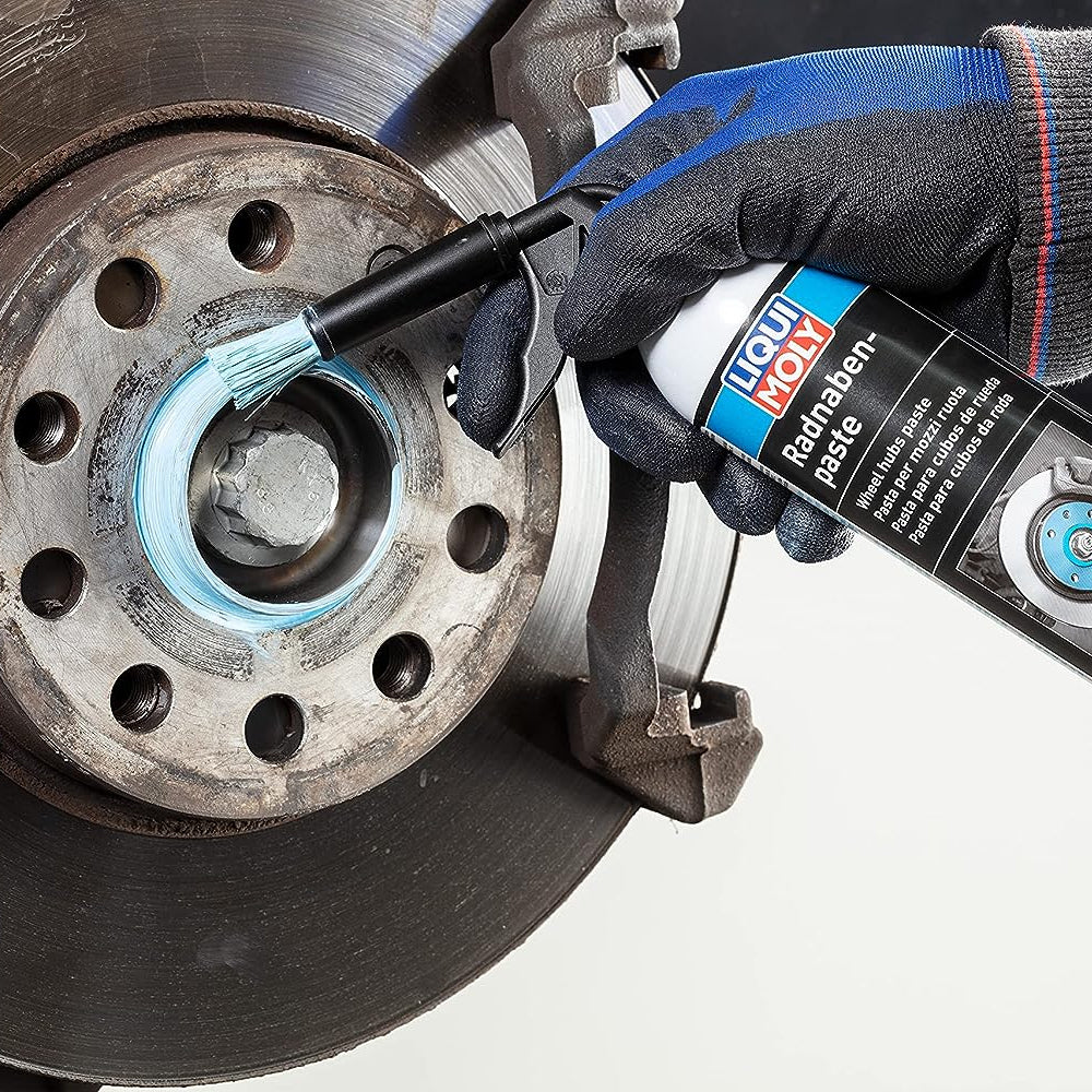 Liqui Moly 4058 Pasta per Montaggio Mozzi Ruota Spray con Applicatore 200 ml (8755877019985)