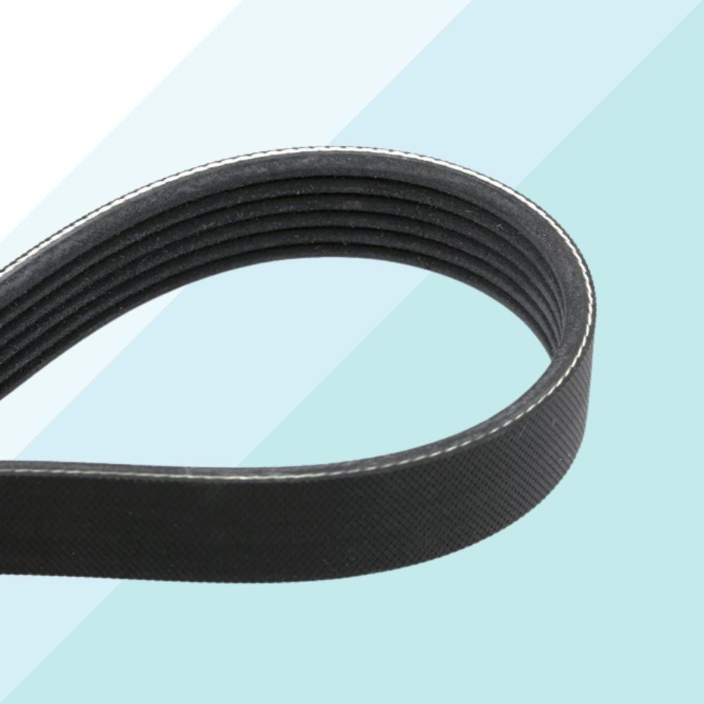 Contitech 6PK962 Cinghia Servizi 962 mm per Citroen Fiat Ford Opel Peugeot Smart (10399830245713)