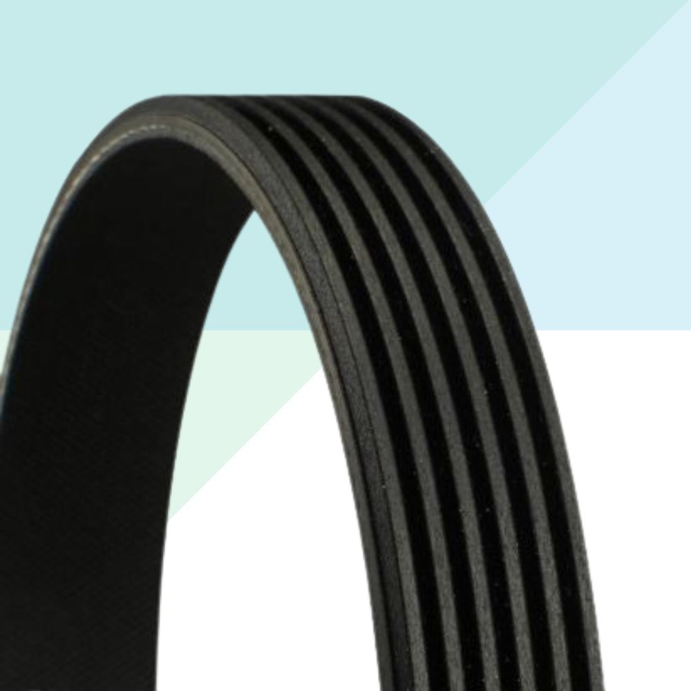 Contitech 6PK962 Cinghia Servizi 962 mm per Citroen Fiat Ford Opel Peugeot Smart (10399830245713)