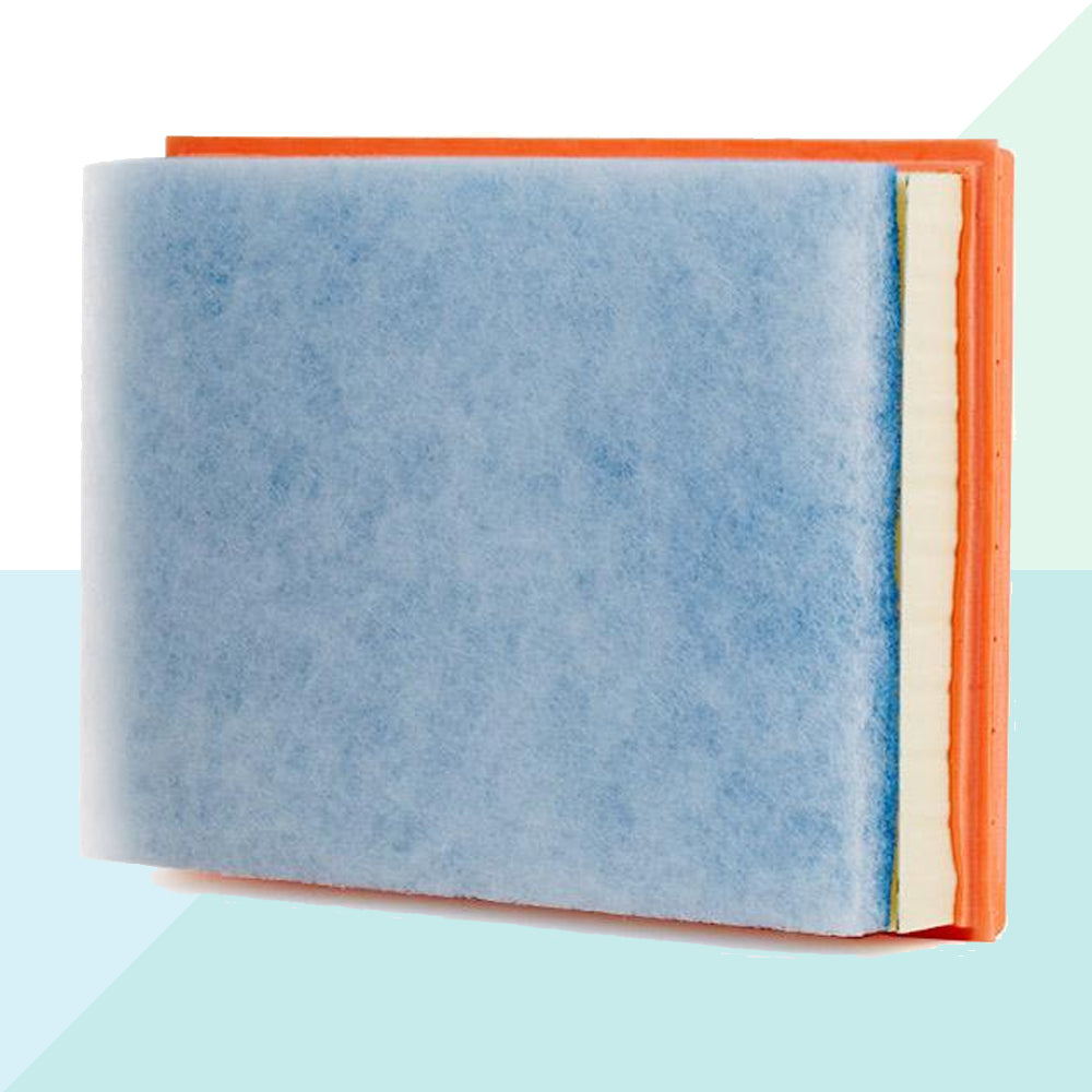 Mann Filtro Aria C24036 (6643451789470)