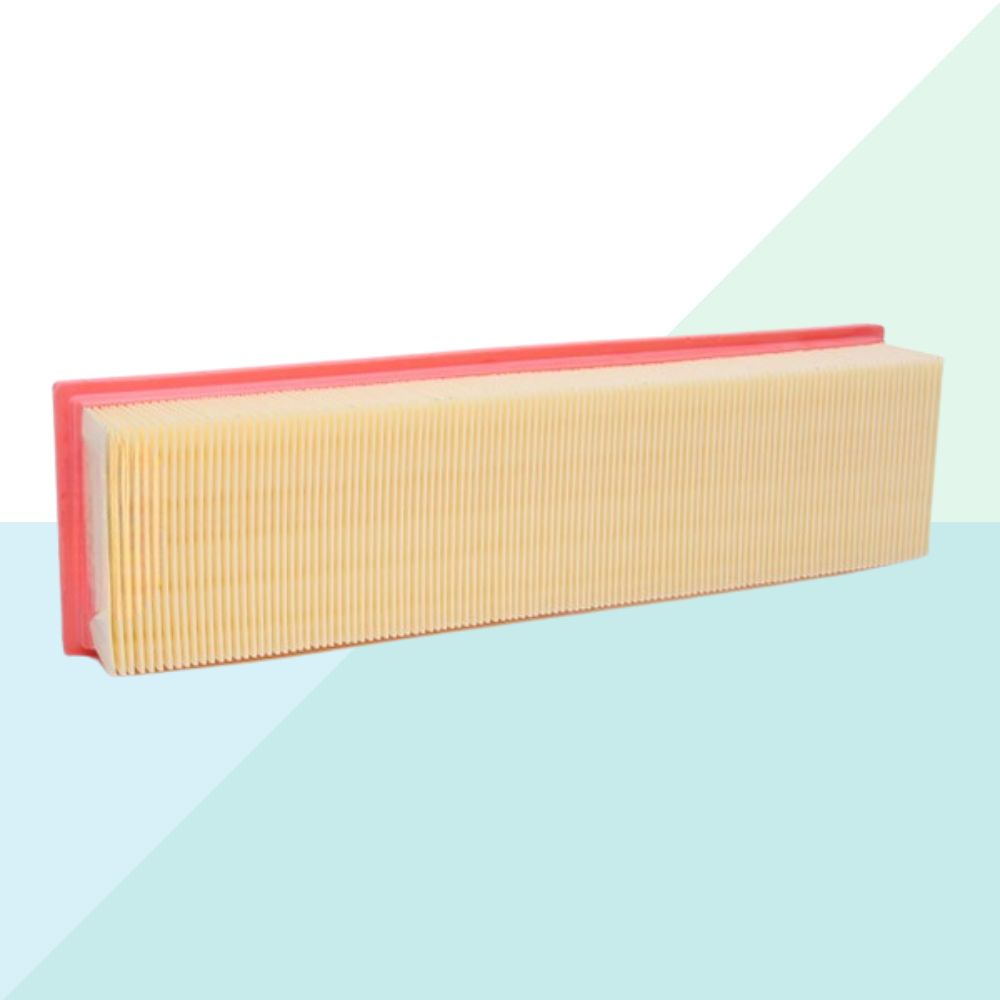 Xenergy X1591005 Filtro Aria per Citroen e Peugeot