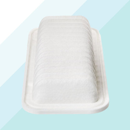Xenergy X1521809 Filtro Aria per Citroen Peugeot Toyota e Subaru (10344570552657)