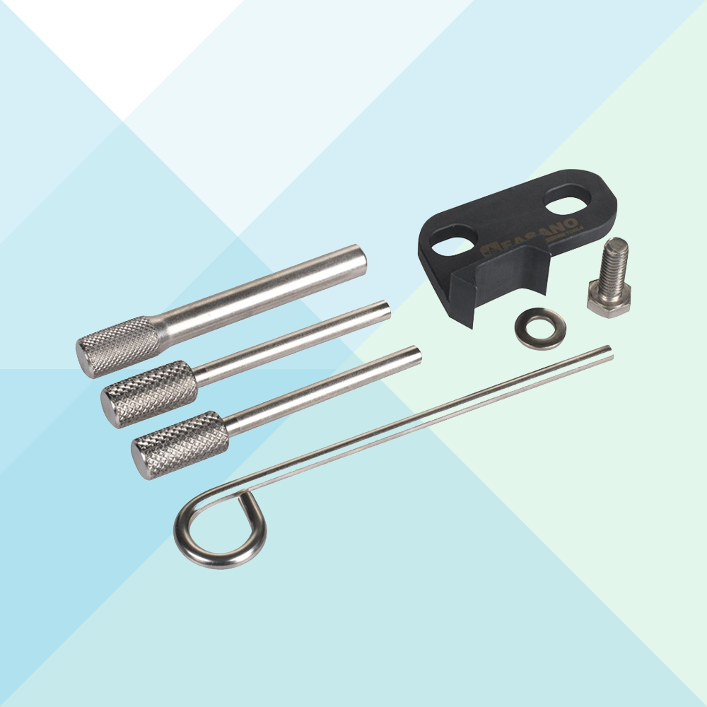 Fasano Set Fasatura Motori BMW Mini FG192/MI9 (7895747363036)